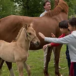 Avec Terrasse Pour 5 Pers. à - Api-1-52-1736 *