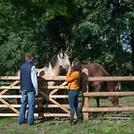 Avec Terrasse Pour 5 Pers. à - Api-1-52-1736 Parque de Campismo *