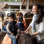 Avec Terrasse Pour 5 Pers. à - Api-1-52-1736 Parque de Campismo *